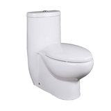 Armosa 1 Gallons GPF High Efficiency Dual Flush Kit