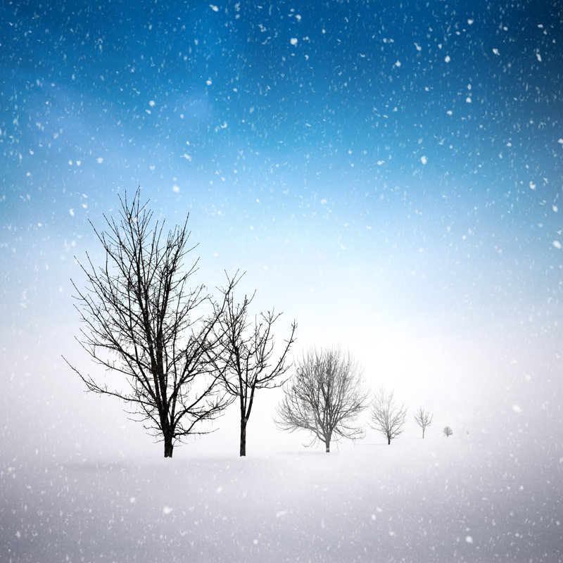 Paysage d'hiver enneigé par Borchee, H 20 po x l 20 po
