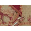 Hand Knotted Wool Oriental Area Rug