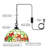 Manford 1 - Light Single Pendant