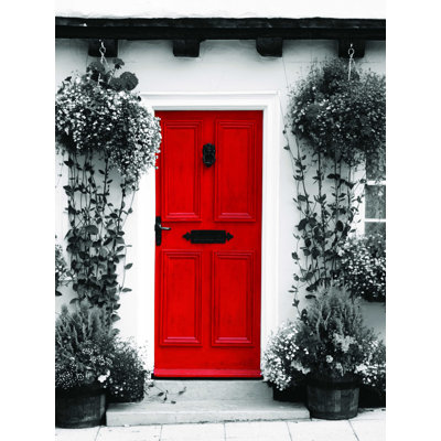 " Red Door Greyscale "