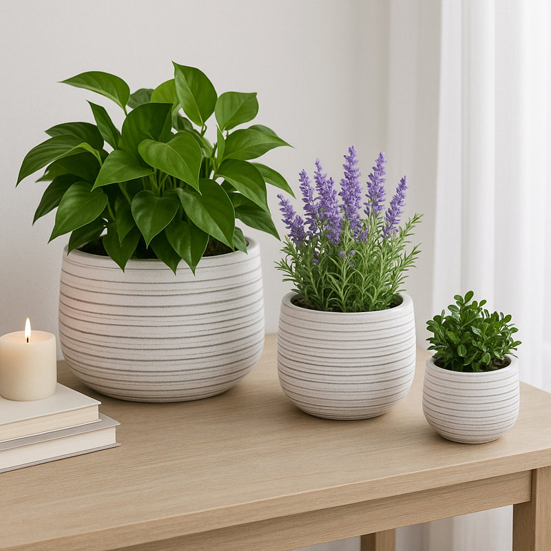 Aedin 3 Piece Dalet Ombre Planters, White