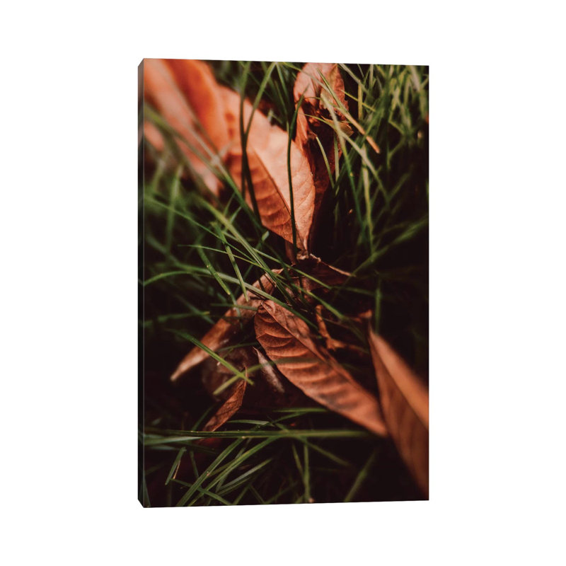 Shelter by Olivia Joy StClaire - Wrapped Canvas Gallery-Wrapped Canvas Giclée, 20.32 cm H x 30.48 cm W