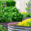 Lit de jardin surélevé Roede-881603628-929403018