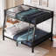 Alyciah Kids-446142295
