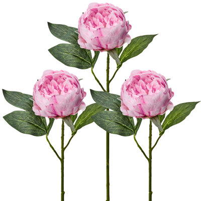 Tige de pivoine 21 po 21 po 
