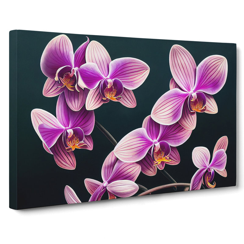 Evolving Orchid Flowers - Wrapped Canvas, 35cm H x 50cm W x 3cm D