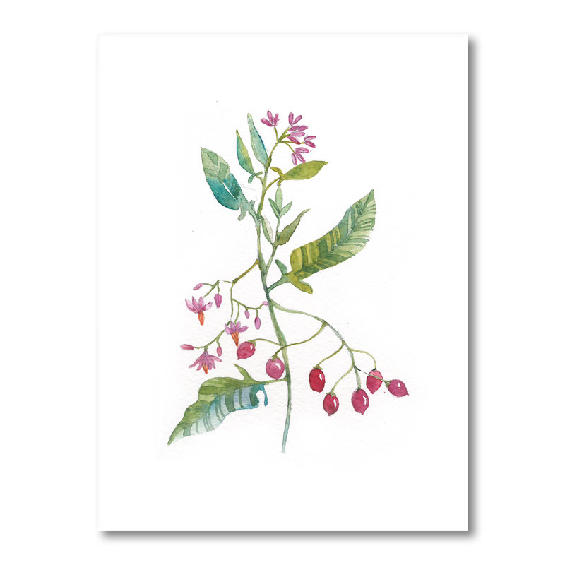 Rétro fleur de nuit - reproduction sur toile, Toile tendue, H 20 po x l 12 po