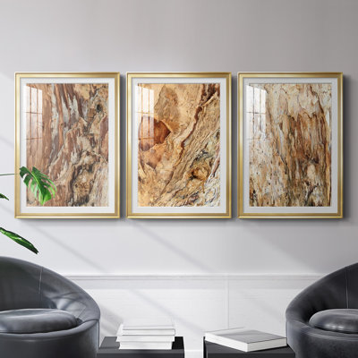 «Tree Texture Triptych I», reproduction encadrée de qualité supérieure - prête à être accrochée