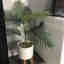 Customer photo 2 of 2
