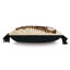Guster Lumbar Indoor/Outdoor Pillow Cover & Insert