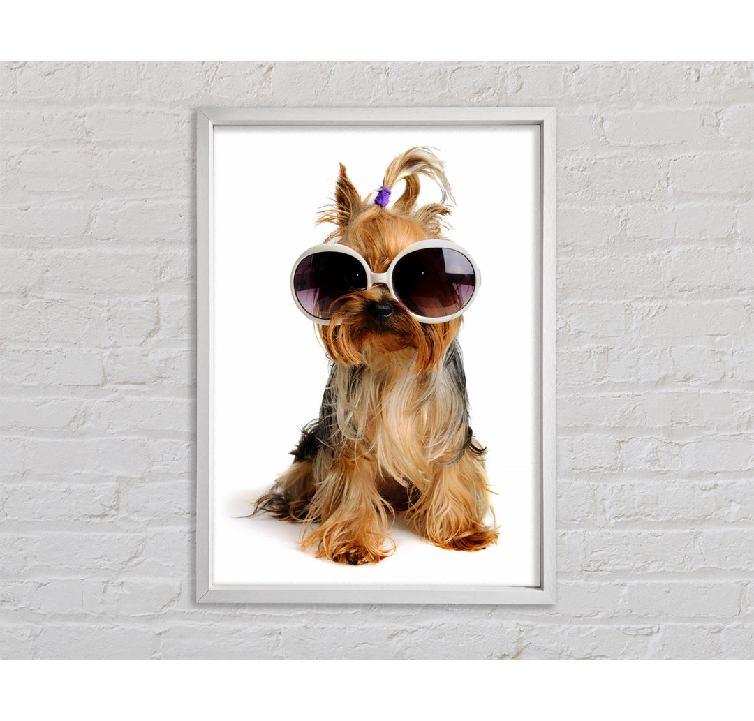 Yorkshire Terrier Hund Glamour - Einzelner Bilderrahmen Kunstdrucke auf Leinwand