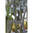 SUNSTRIPE Wicker Outdoor Lounge Chair