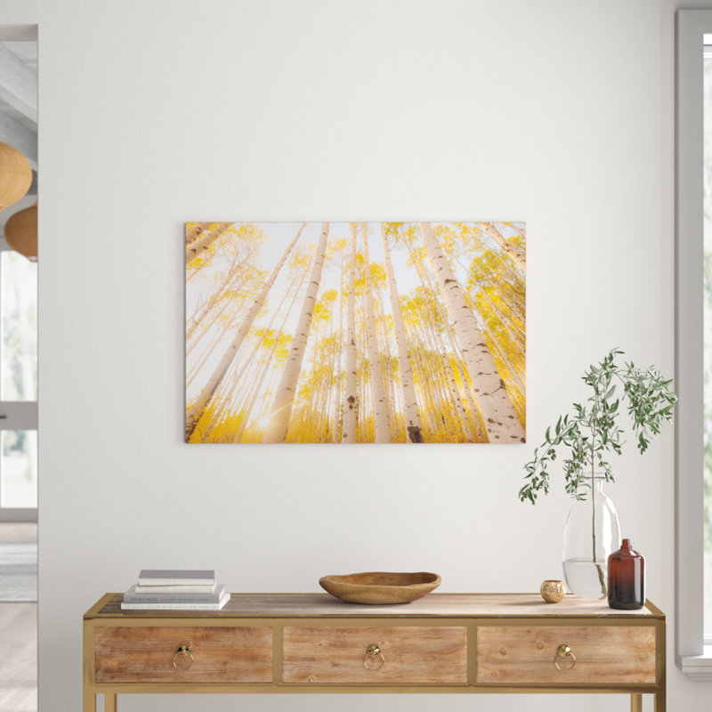 Colorado by Dan Ballard - Print on Canvas, 101.6 cm H x 66.04 cm W x 1.91 cm D, Wrapped Canvas