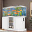 Support d'aquarium avec prise de courant et armoire de rangement