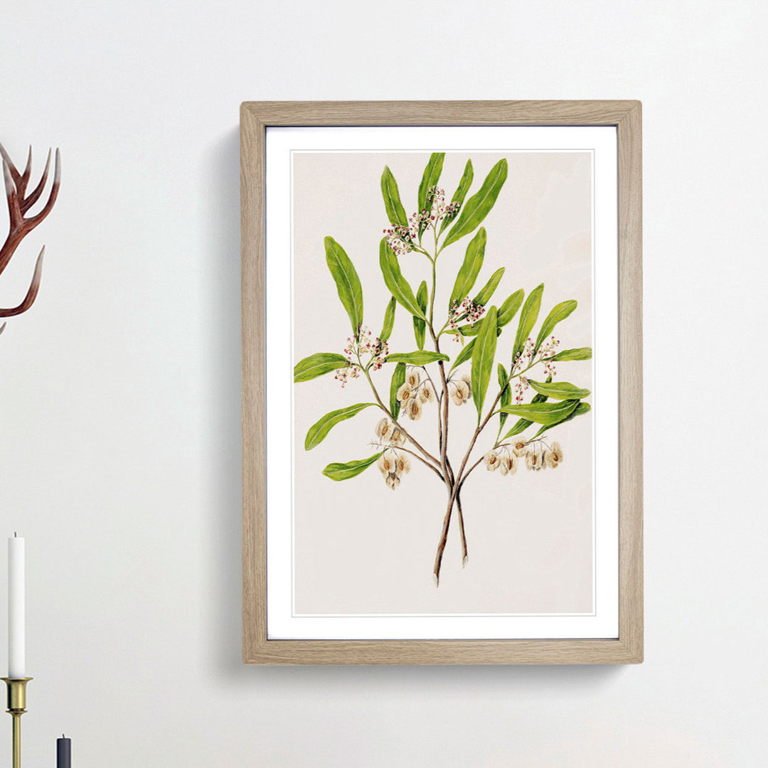 Akeake Flowers by Sarah Featon - Single Picture Frame Painting