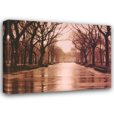 Jour de pluie - Central Park
