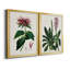 Antique Floral Folio I - Ensemble de 2 reproductions d'art sur toile encadrées-1581112059-1581112060