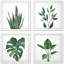 Décoration murale encadrée 10 x 10 pour plantes murales de salle de bain avec cadres blancs et feuilles vertes, ensemble de 4