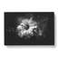 Geranium Flower - Wrapped Canvas-56647379