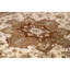 Wool Oriental Area Rug