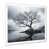 White Single Picture Framed