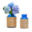 Ensemble de 2 vases en verre bleu