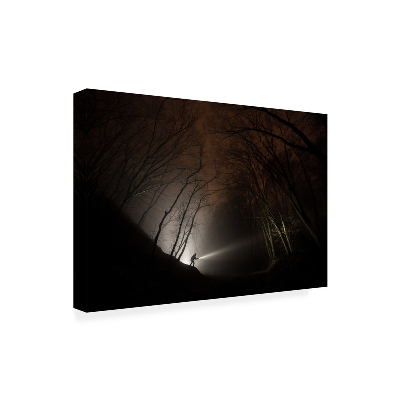 Art sur toile «Bachelor Matus Losonsky Night Explorer», H 12 po x l 19 po