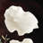 MORICENTO LEAF SCULPTURE-188729716-190117917