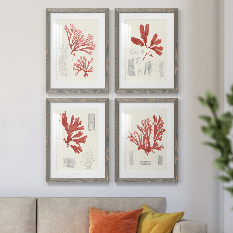 Vintage Coral Study I - Ensemble de 4 reproductions de cadres photo, gris, H 20 po x l 68 po x P 1,5 po