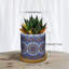 Caludia Ceramic Pot Planter