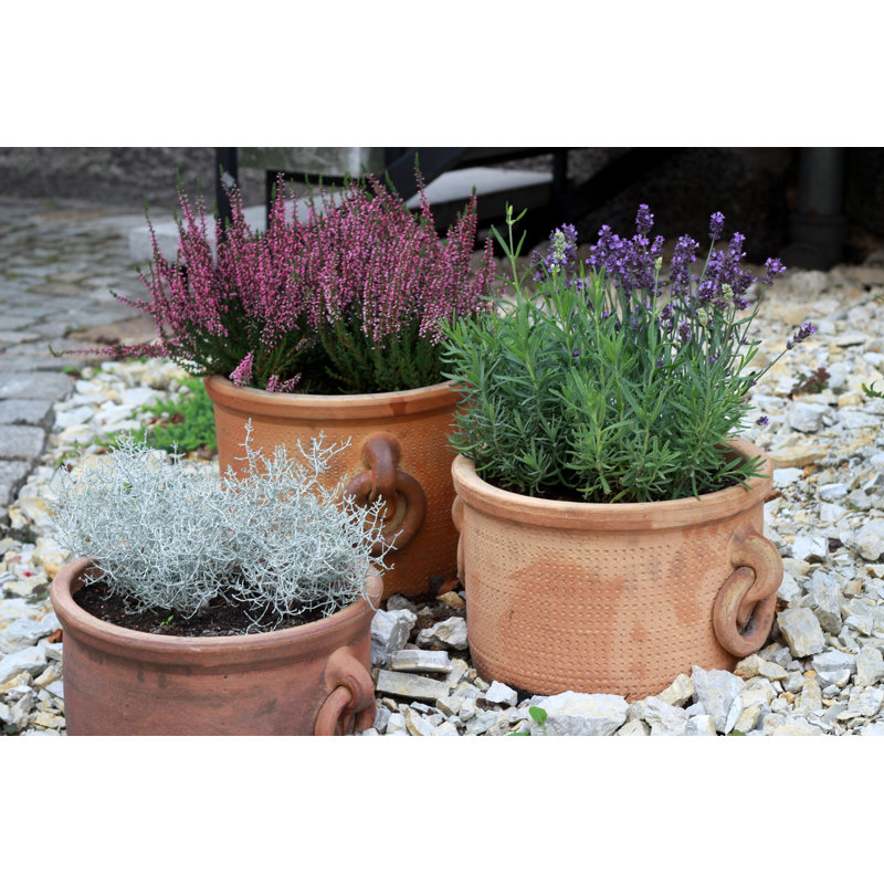 Terracotta Pots by Jstankiewiczwitek - Wrapped Canvas Print, 51cm H x 76cm W