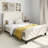 Upholstered Bed-1638263927-1649403712