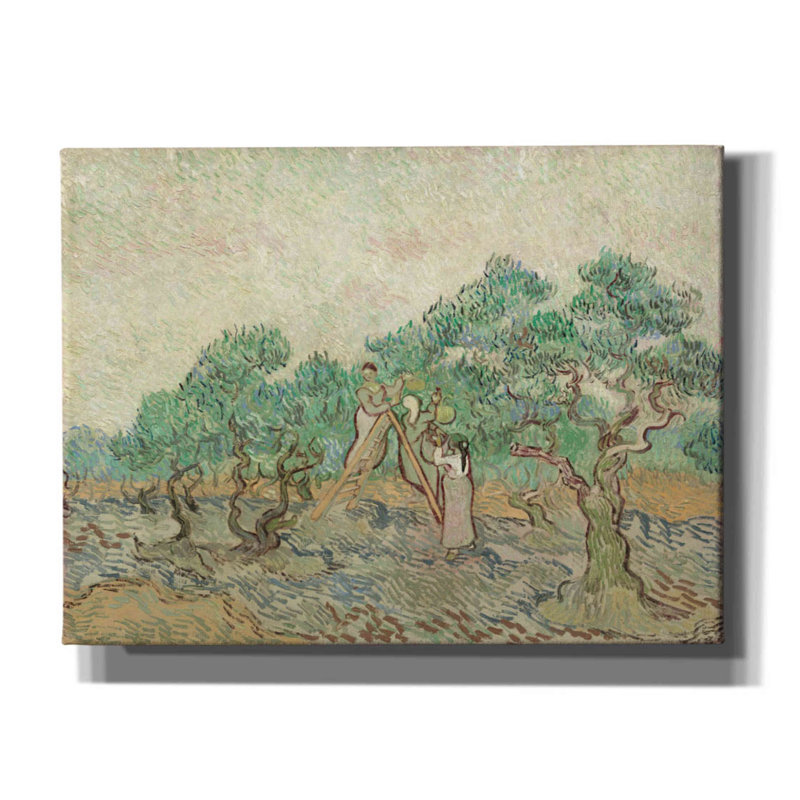 «The Olive Orchard On Canvas» par MASTERS, reproduction, H 12 po x l 16 po x P 0,75 po
