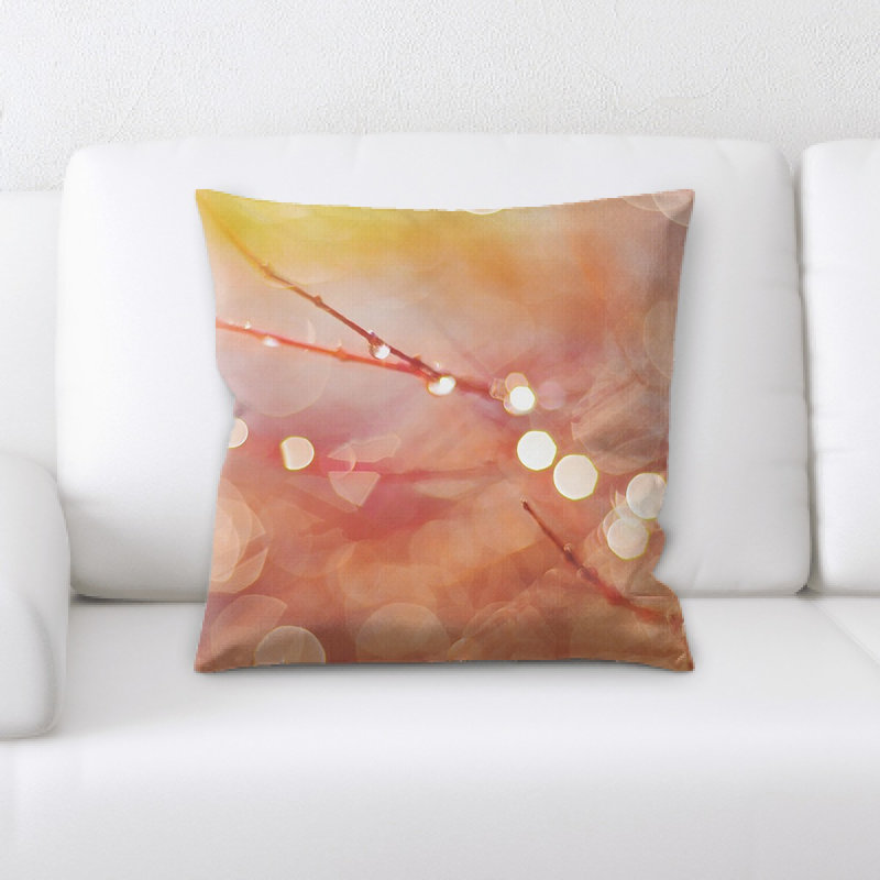 Coussin décoratif flou