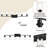 Asellus 6 - Light Dimmable Vanity Light