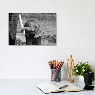 Bjoern Alicke by Bjoern Alicke - Wrapped Canvas Gallery-Wrapped Canvas Giclée