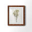 Farmhouse Pressed Flower II - peinture encadrée-1572627895-1572627894