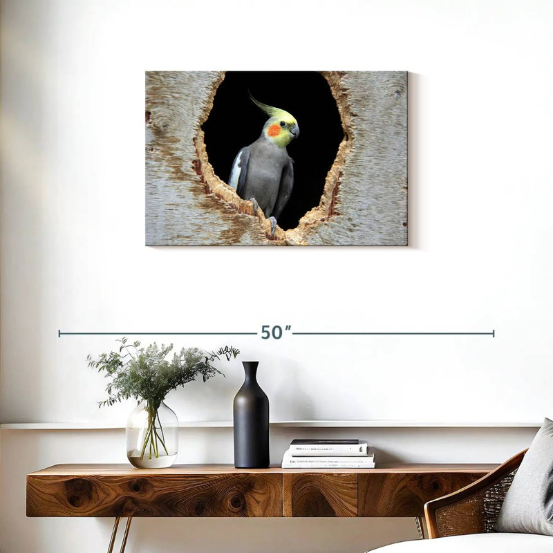 Cockatiel Brampt dans un trou, H 20 po x l 30 po