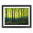 Black Framed selected