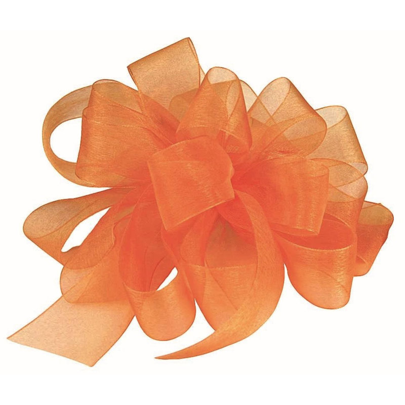 Ruban tropical tropical, H 1,5 po x l 4 po x P 4 po, Orange