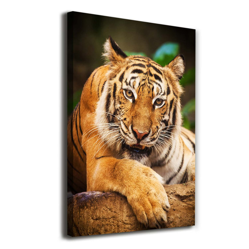 Bengal Tiger - Wrapped Canvas Print