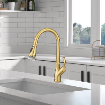 FLG Pull Out Kitchen Faucet