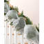 26cm Plastice No Ribbon