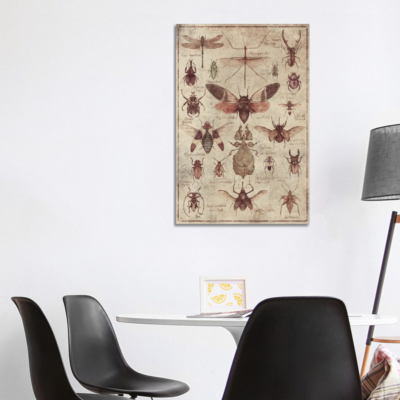 Vintage Insects by Mike Koubou - Wrapped Canvas Print, 101.6 cm H x 66.04 cm W x 3.175 cm D