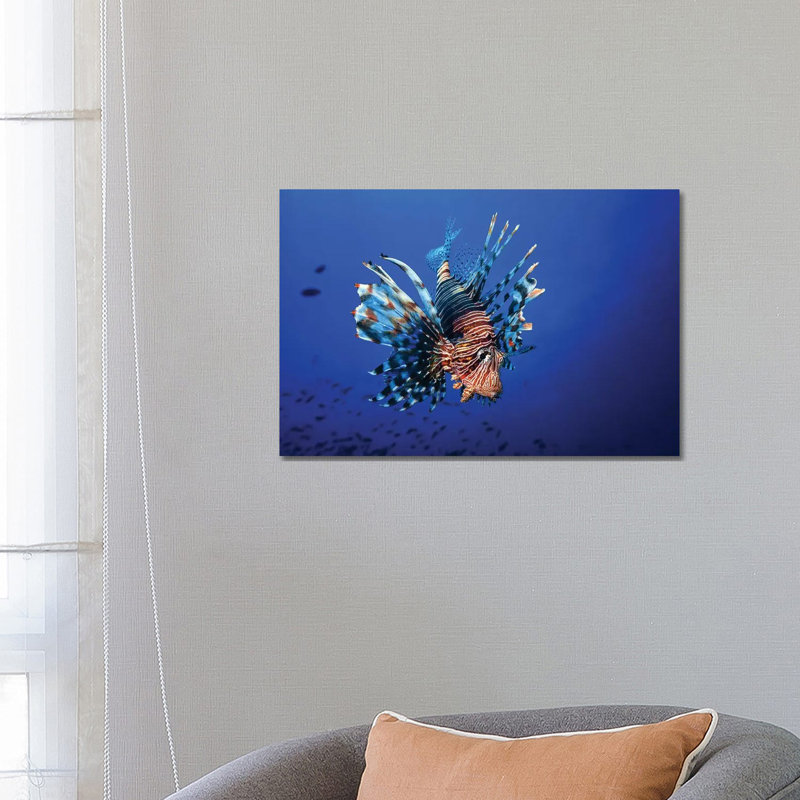 Lionfish by Barathieu Gabriel - Wrapped Canvas Photograph