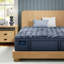 Perfect Sleeper Pro Valais Plush Pillow Top 15" Latex Hybrid Mattress-1902856853