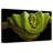 Green Boa Constrictor-107922361