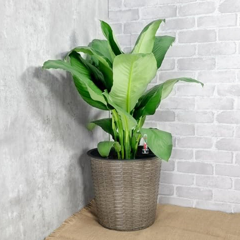 Self-Watering Decorative Planter - 10.2" Grey For Peaceful Areas Decor 10.2", Home & Garden, Gray
