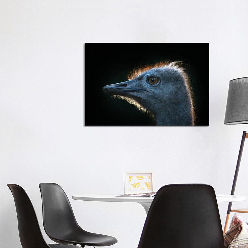 Ostrich by Andreas Stridsberg - Wrapped Canvas Print, 101.6 cm H x 66.04 cm W x 3.175 cm D
